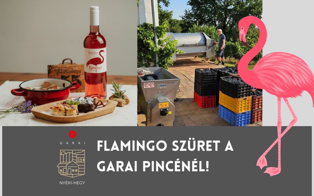 Flamingo szüret a Garai pincénél!