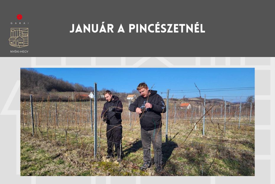 Január a Garai Pincénél