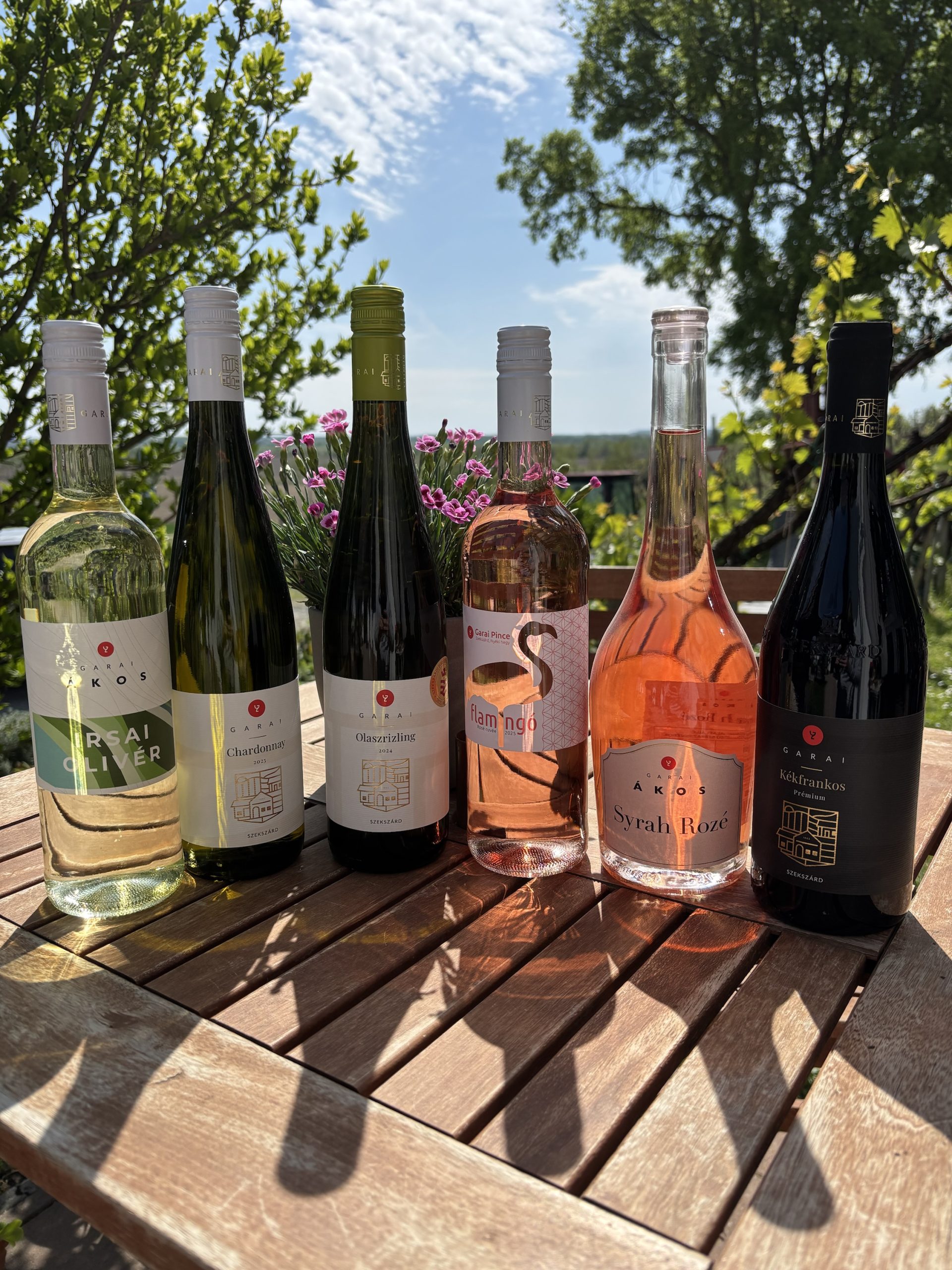 ☀️🍷 Nyári borválogatás most –38% kedvezménnyel! 🍷☀️