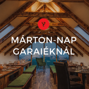 Márton - Nap 2026.11.13. PÉNTEK
